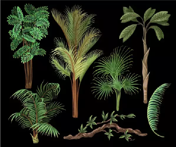 وکتور طراحی درختان مختلف