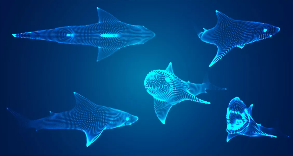 وکتور طراحی کوسه طرح دیجیتالی سه بعدی