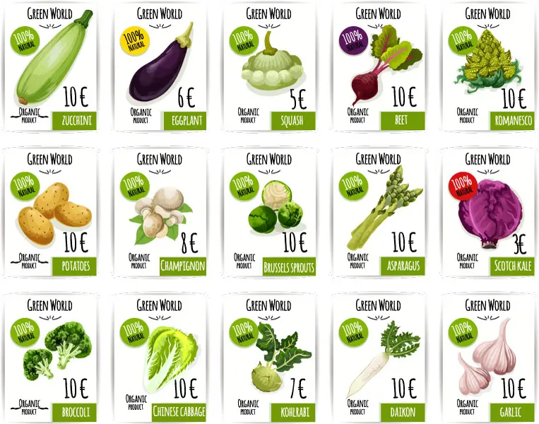 وکتور صیفی جات و سبزیجات