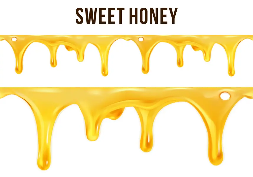 وکتور واقع بینانه عسل شماره یک