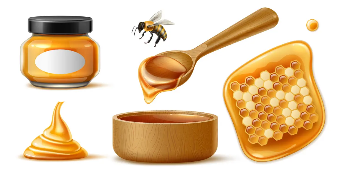 وکتور واقع بینانه عسل شماره هفت