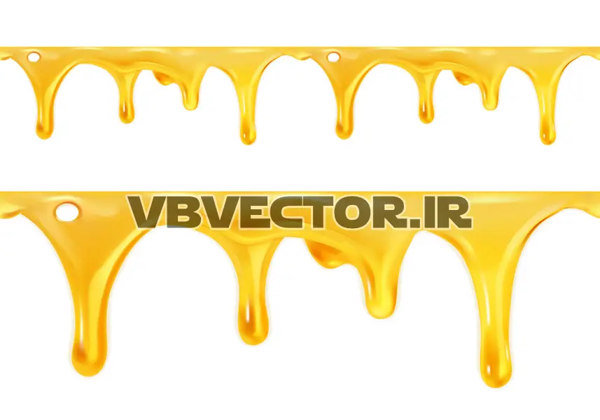 وکتور واقع بینانه عسل شماره شش