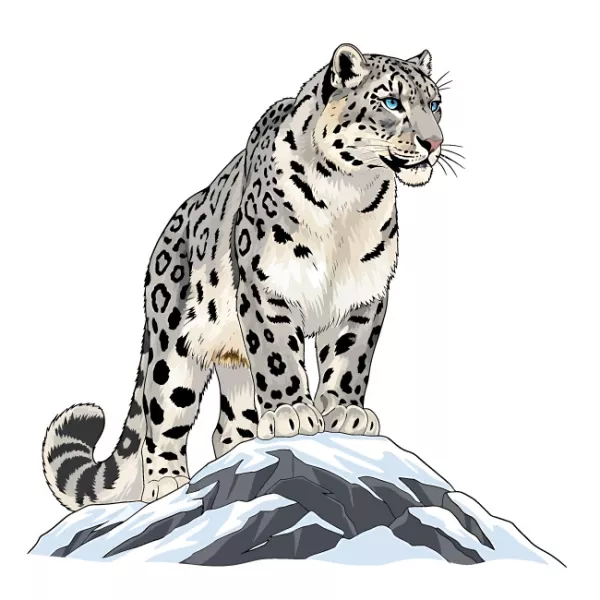 وکتور طراحی پلنگ کوهی