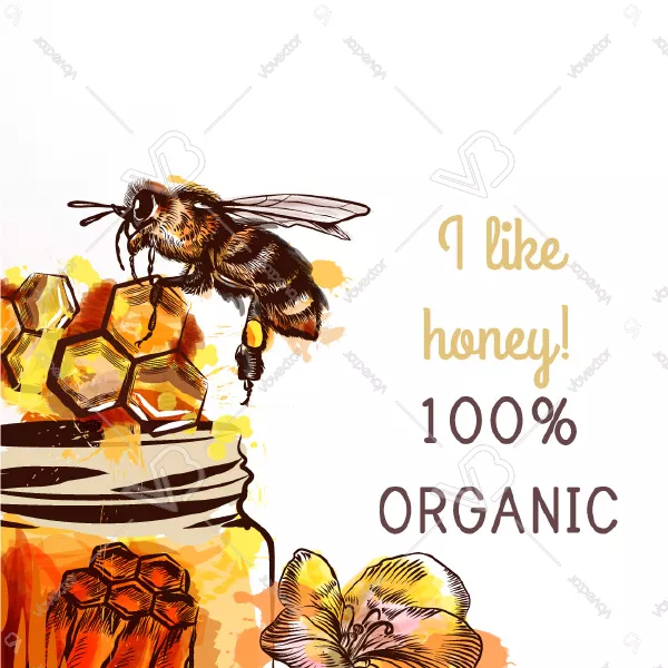 وکتور پس زمینه زنبور عسل شماره یک