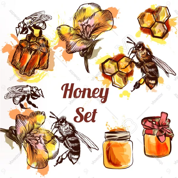 وکتور طراحی زنبور عسل شماره دو