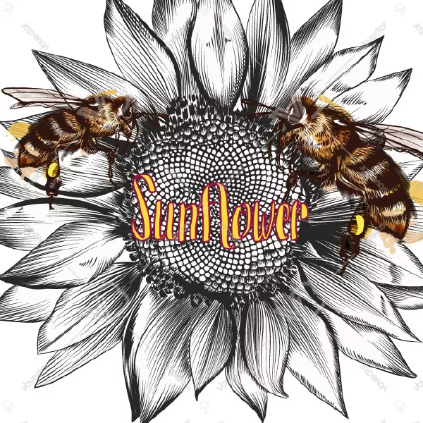 وکتور طراحی زنبور عسل شماره شش