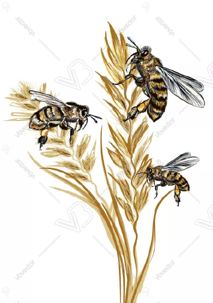 وکتور طراحی زنبور عسل و گل