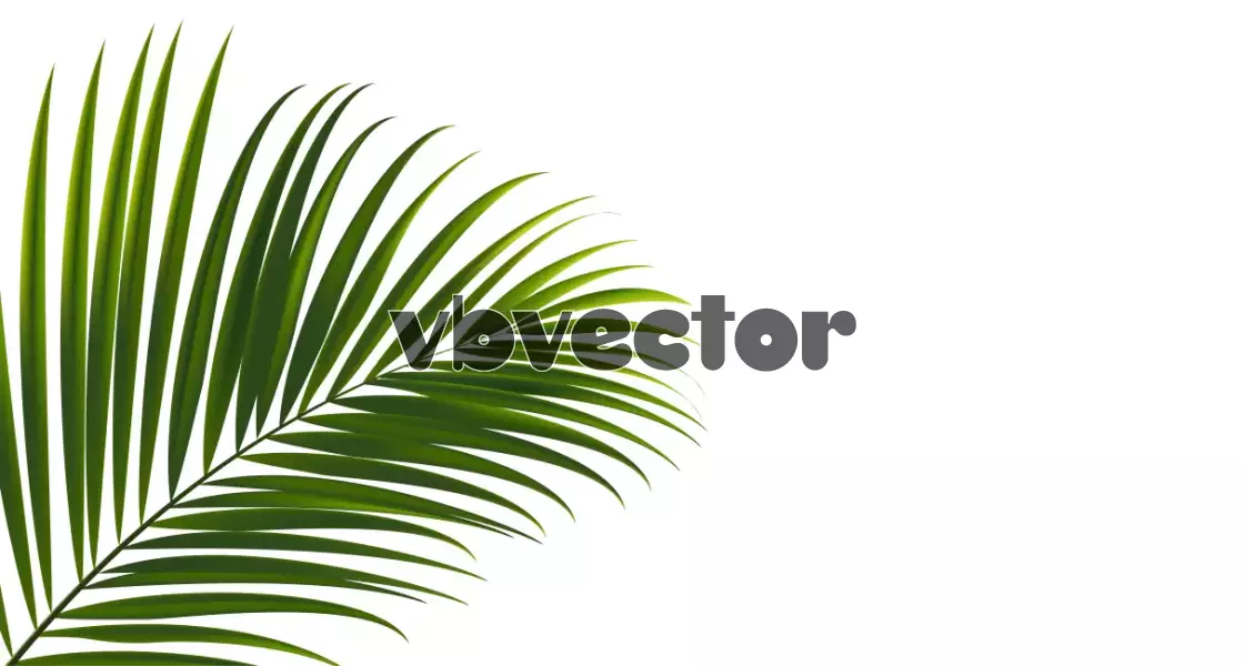 وکتور پس زمینه واقع بینانه برگ درخت