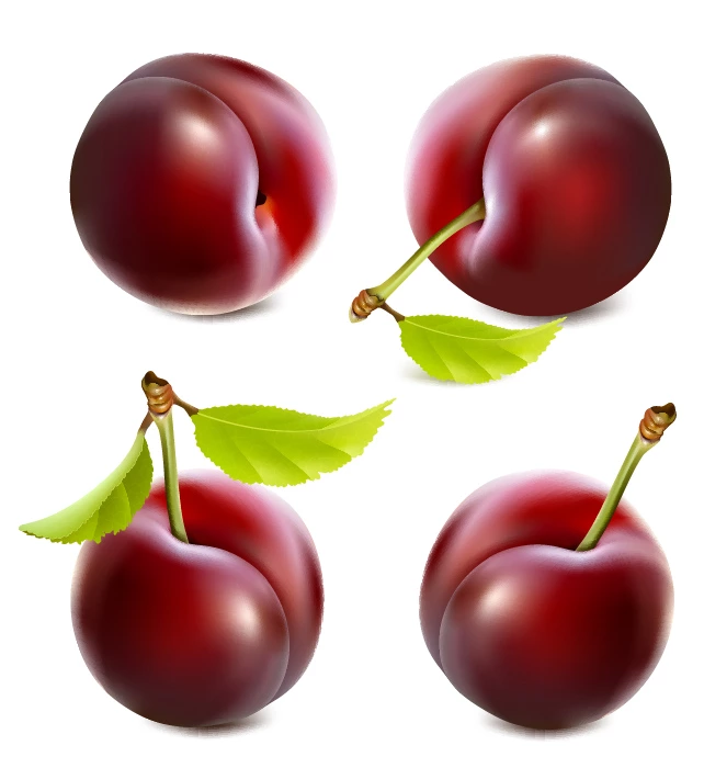 وکتور سه بعدی گیلاس