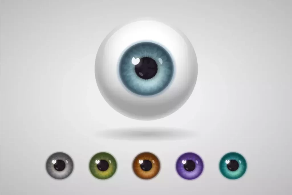 دانلود وکتور مجموعه چشم واقع بینانه