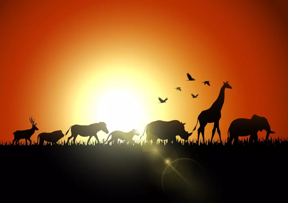 دانلود وکتور طراحی حیات وحش آفریقا