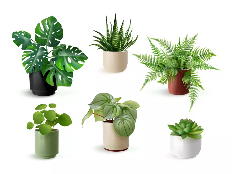 وکتور گل و گیاه واقع بینانه