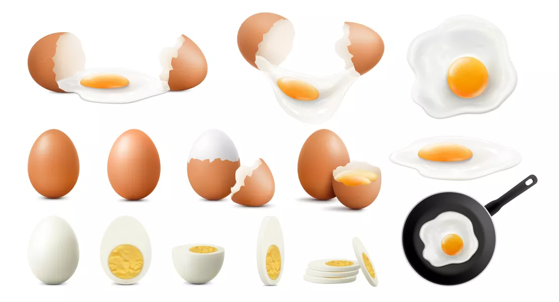 وکتور واقع بینانه تخم مرغ و نیمرو