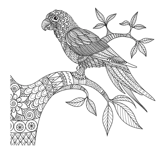 وکتور طراحی و رنگ آمیزی پرنده شماره یک