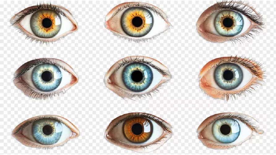 دانلود موکاپ کلکسیون چشم انسان