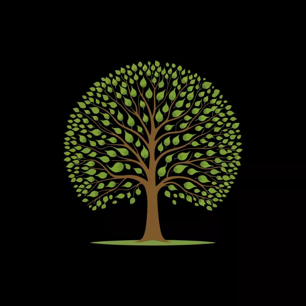 وکتور درخت در فصل بهار و تابستان