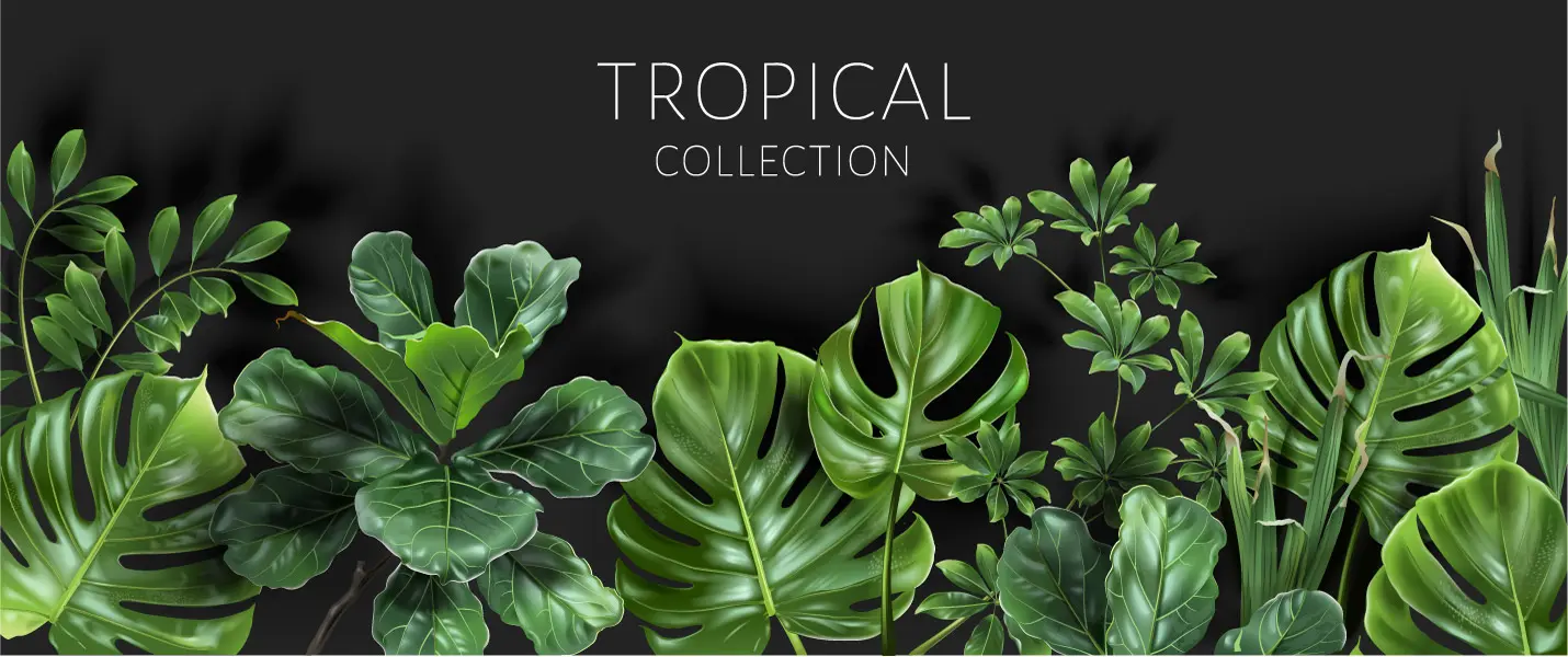 وکتور واقع بینانه گیاهان جنگلی